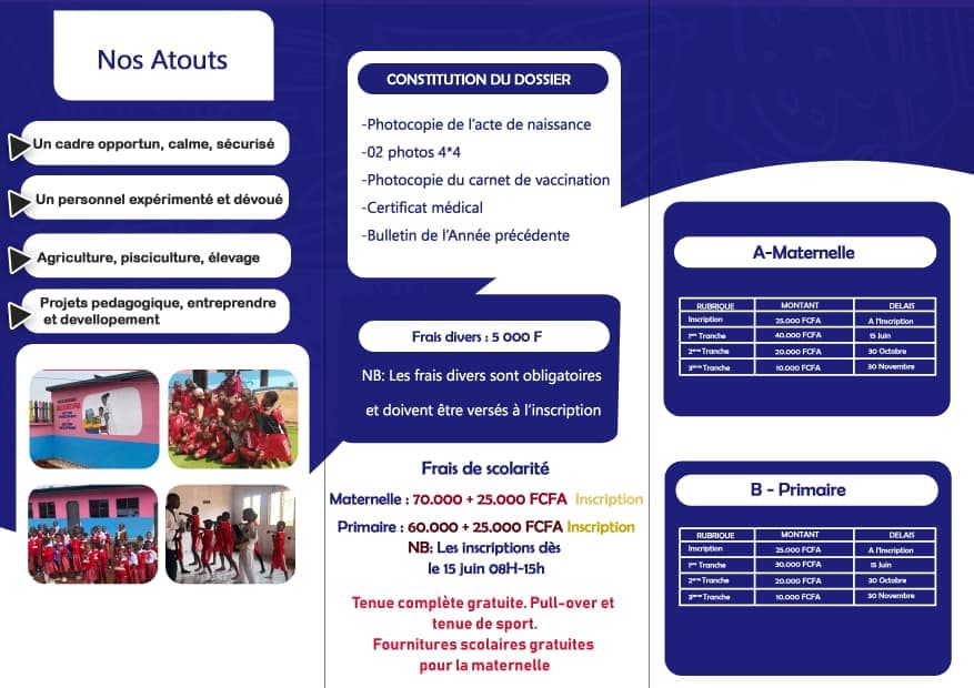 Activité collective